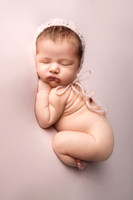 Arnold Newborn Gallery 2025