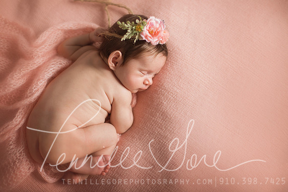 Dial Studio Newborn- Wilmington NC Newborn Photographer