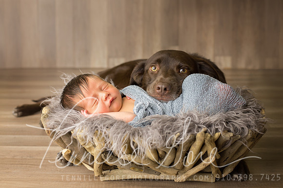 Sadolf Newborn, a boy and his dog, Wilmington NC Newborn Photography