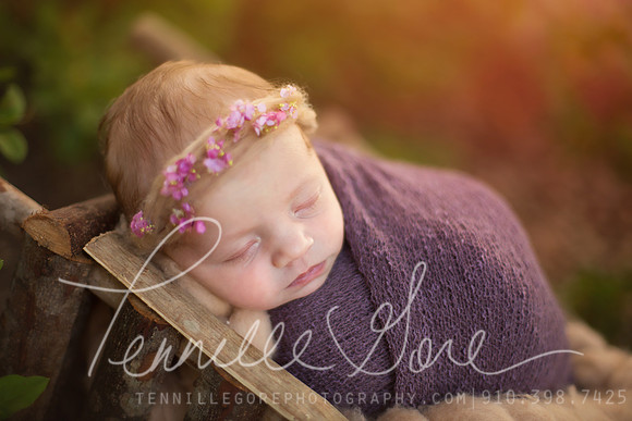 Albertson Location Newborn- Wilmington NC Newborn Photographer