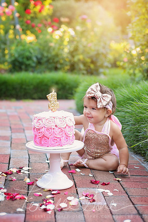 Koch Cake Smash- Wilmington NC Children and Baby Photographer