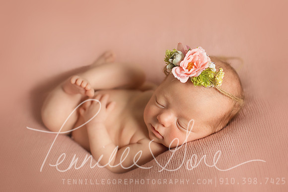 Wells Studio Newborn- Wilmington NC Newborn Photographer