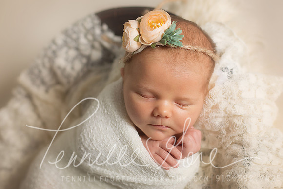 Freshwater Studio Newborn- Wilmington NC Newborn Photographer