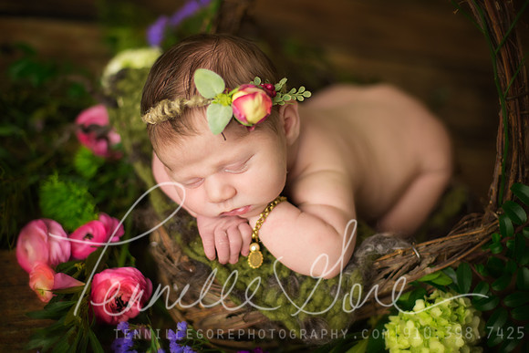 Pittman Studio Newborn- Wilmington NC Newborn Photographer