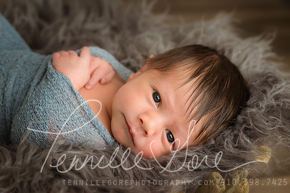 Sadolf Newborn- Wilmington NC Newborn Photographer