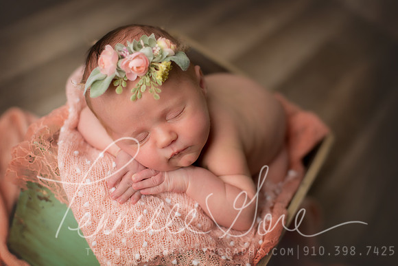 Garrett Studio Newborn- Wilmington NC Children and Baby Photographer, Wilmington NC Newborn Photographer