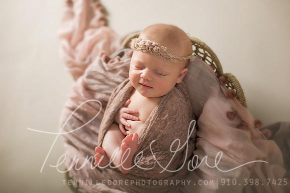 Craft Studio Newborn- Wilmington NC Newborn Photographer