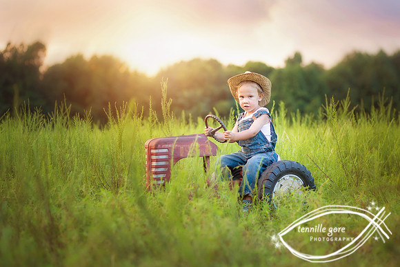Three year old boy milestone session- Tractor love- Wilmington, NC Children & Baby Photographer