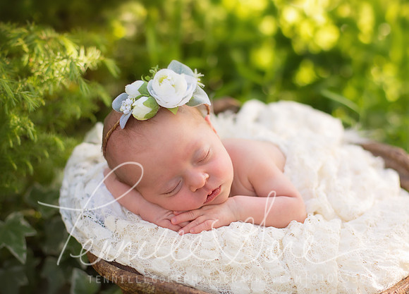 Bland Location Newborn- Wilmington NC Newborn Photographer