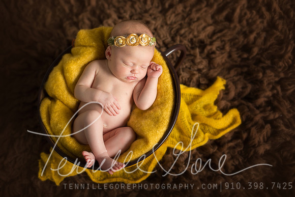 Craft Studio Newborn- Wilmington NC Newborn Photographer