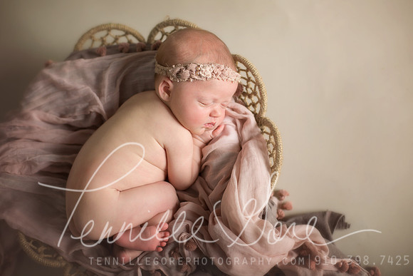 Craft Studio Newborn- Wilmington NC Newborn Photographer