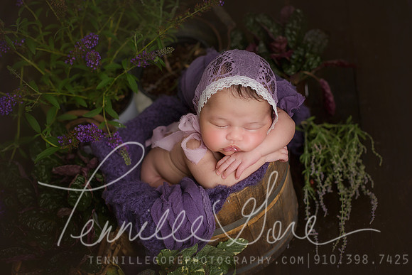 Sweet One Month Old Baby Girl- Wilmington NC Newborn Baby Photographer